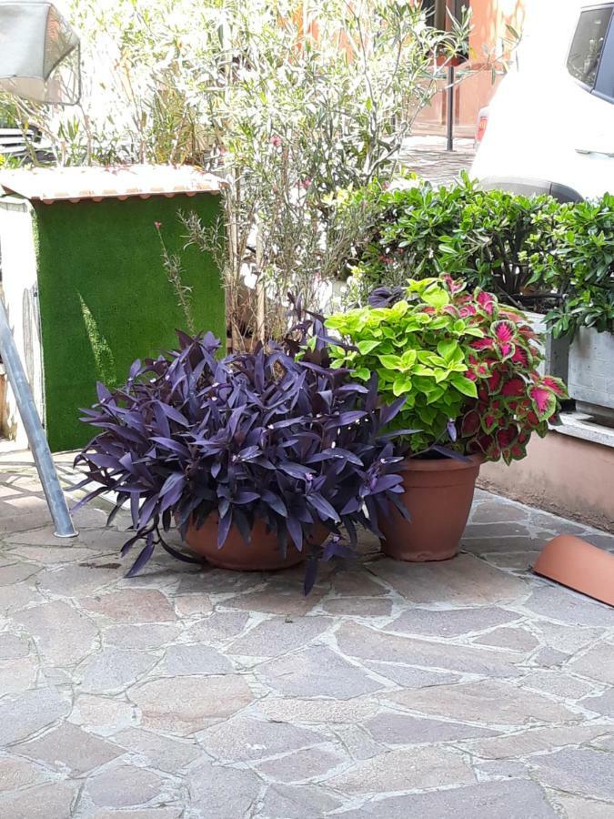 Hotel Atis Bellaria-Igea Marina Exterior foto